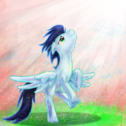 Size: 600x600 | Tagged: safe, artist:xx-mr-no-name-xx, soarin', pegasus, pony, g4, looking up, male, solo, stallion