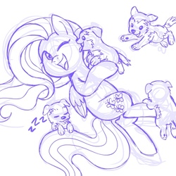 Size: 945x945 | Tagged: safe, artist:megasweet, fluttershy, dog, pegasus, pony, g4, cute, monochrome, paw pads, puppy, shyabetes, sketch