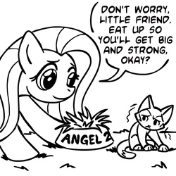 Size: 945x945 | Tagged: safe, artist:megasweet, fluttershy, cat, pegasus, pony, g4, black and white, dialogue, female, fridge horror, grass, grayscale, implied death, lineart, mare, monochrome, shivering, speech bubble, the implications are horrible, we are going to hell