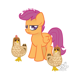 Size: 500x500 | Tagged: safe, artist:bossboi, scootaloo, chicken, pegasus, pony, g4, scootachicken, scootaloo is not amused, twelve days of christmas, unamused