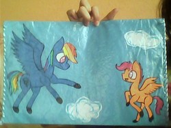 Size: 618x462 | Tagged: safe, artist:rookieowl, rainbow dash, scootaloo, g4, folder, photo