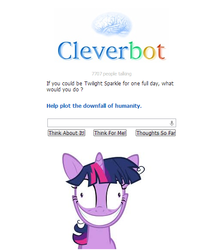 Size: 483x580 | Tagged: safe, twilight sparkle, g4, cleverbot, cleverbot is insane, female, meme, misanthropy, text