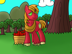 Size: 1600x1200 | Tagged: safe, big macintosh, earth pony, pony, g4, apple, applefarm, male, stallion