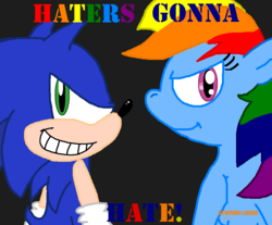 Size: 962x797 | Tagged: safe, rainbow dash, hedgehog, g4, crossover, haters gonna hate, male, sonic the hedgehog, sonic the hedgehog (series)