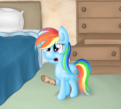 Size: 2000x1800 | Tagged: safe, artist:zirbronium, rainbow dash, g4, clothes, socks, solo