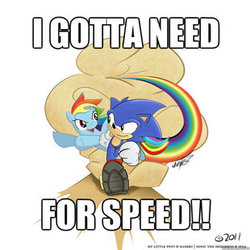 Size: 310x310 | Tagged: safe, rainbow dash, g4, crossover, image macro, male, sonic the hedgehog, sonic the hedgehog (series)