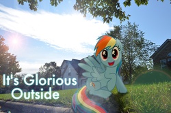 Size: 2464x1632 | Tagged: safe, rainbow dash, pony, g4, irl, lens flare, outdoors, photo, ponies in real life, suburb, vector