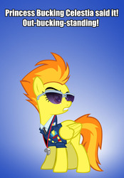 Size: 975x1397 | Tagged: safe, spitfire, g4, caption, clothes, drill sergeant, female, full metal jacket, meme, necktie, spitfire's tie, uniform, wonderbolts dress uniform