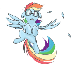 Size: 800x693 | Tagged: safe, artist:cider, rainbow dash, g4, flying, glasses, looking at you, simple background, transparent background