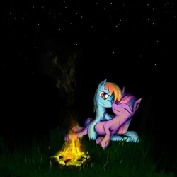 Size: 1024x1024 | Tagged: safe, artist:sharpieboss, rainbow dash, twilight sparkle, g4, campfire, eyes closed, female, fire, lesbian, night, nuzzling, ship:twidash, shipping, stars