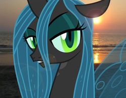 Size: 804x624 | Tagged: dead source, safe, artist:midnalover101, queen chrysalis, changeling, changeling queen, g4, beach, female, irl, photo, ponies in real life, sunset, vector