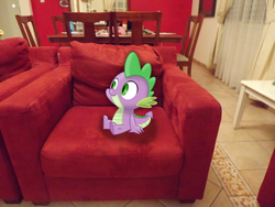 Size: 4288x3216 | Tagged: safe, artist:missbeigepony, spike, g4, chair, irl, photo, ponies in real life, sitting, solo, vector