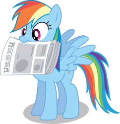 Size: 880x908 | Tagged: safe, artist:chubble-munch, rainbow dash, pegasus, pony, g4, female, hooves, mare, mouth hold, newspaper, simple background, solo, spread wings, teeth, vector, white background, wings