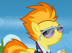 Size: 983x715 | Tagged: safe, screencap, spitfire, pony, g4, wonderbolts academy, clothes, cropped, female, hypnosis, mare, necktie, solo, spitfire's tie, sunglasses, uniform, wonderbolts dress uniform