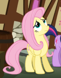 Size: 345x437 | Tagged: safe, screencap, fluttershy, twilight sparkle, pegasus, pony, unicorn, g4, wonderbolts academy, cropped, eyeroll, reaction image, unicorn twilight