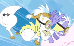 Size: 476x296 | Tagged: safe, screencap, bulk biceps, cloudchaser, pegasus, pony, g4, wonderbolts academy, duo, female, male, mare, stallion, vein, wonderbolt trainee uniform