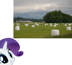 Size: 1283x1163 | Tagged: safe, rarity, pony, g4, field, hay bale, irl, marshmallow, meta, outdoors, photo, rarity is a marshmallow, simple background, solo, transparent background