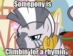 Size: 348x268 | Tagged: safe, zecora, zebra, g4, looks like somepony's