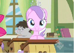 Size: 350x252 | Tagged: safe, screencap, apple bloom, diamond tiara, truffle shuffle, earth pony, pony, family appreciation day, g4, animated, blinking, book, colt, curtains, cute, desk, diamondbetes, eating, female, filly, foal, male, ponyville, pure unfiltered evil, window