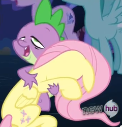 Size: 340x354 | Tagged: safe, screencap, fluttershy, sea swirl, seafoam, spike, spring melody, sprinkle medley, g4, magic duel, hug, out of context