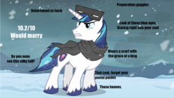 Size: 1280x720 | Tagged: safe, shining armor, g4, 10/10, analysis, meme, snow goggles, text