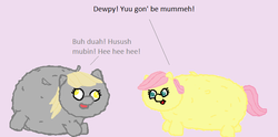 Size: 730x361 | Tagged: safe, derpy hooves, fluttershy, fluffy pony, pegasus, pony, g4, female, fluffyderpy, fluffyshy, mare