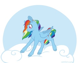 Size: 800x650 | Tagged: safe, artist:naroclie, rainbow dash, pegasus, pony, g4, cloud, ear fluff, female, folded wings, mare, on a cloud, smiling, solo, wings