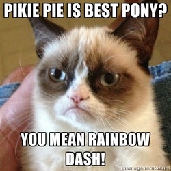 Size: 400x400 | Tagged: safe, pinkie pie, rainbow dash, g4, barely pony related, best pony, grumpy cat, photo, text