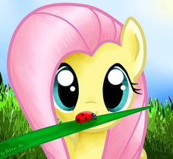 Size: 3008x2767 | Tagged: safe, artist:0okami-0ni, fluttershy, ladybug, g4, grass