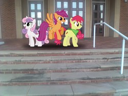 Size: 2048x1536 | Tagged: safe, artist:tokkazutara1164, apple bloom, scootaloo, sweetie belle, earth pony, pony, g4, cutie mark crusaders, high school, irl, older, outdoors, photo, ponies in real life, vector