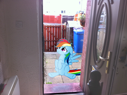 Size: 2592x1936 | Tagged: safe, artist:ponywithacrispyface, rainbow dash, pony, g4, door, fence, irl, outdoors, photo, ponies in real life, sad, vector