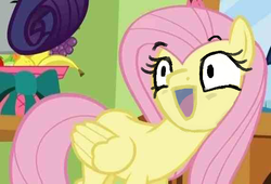 Size: 572x389 | Tagged: safe, edit, edited screencap, screencap, fluttershy, rarity, pegasus, pony, g4, duo, faic, female, folded wings, indoors, mare, open mouth, solo focus, wings