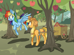 Size: 2000x1500 | Tagged: safe, artist:xenon, applejack, rainbow dash, earth pony, pegasus, pony, g4, apple, cart, duo, female, flying, food, mare, orchard