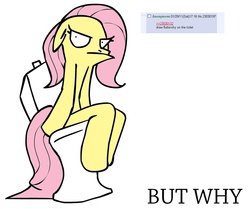 Size: 1053x882 | Tagged: artist needed, safe, fluttershy, pegasus, pony, g4, 4chan, 4chan screencap, anatomically incorrect, artifact, but why, female, floppy ears, glare, incorrect leg anatomy, mare, meme origin, simple background, sitting, sitting on toilet, solo, toilet, unamused, wat, white background, why