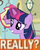 Size: 448x556 | Tagged: safe, twilight sparkle, pony, g4, female, image macro, meme, solo, why.jpg