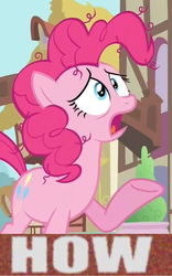 Size: 689x1107 | Tagged: safe, edit, edited screencap, screencap, pinkie pie, g4, image macro, meme, why.jpg