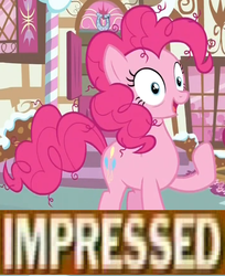 Size: 714x874 | Tagged: safe, pinkie pie, g4, image macro, meme, why.jpg