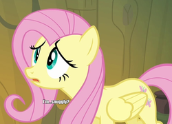 Size: 682x490 | Tagged: safe, edit, edited screencap, screencap, fluttershy, pegasus, pony, g4, caption, female, folded wings, image macro, indoors, looking at someone, mare, open mouth, solo, text, wings