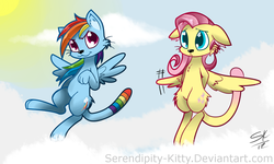 Size: 900x540 | Tagged: safe, artist:serendipity-kitty, fluttershy, rainbow dash, cat, g4, catified, cloud, cloudy, cute, fluttercat, flying, rainbow cat, species swap