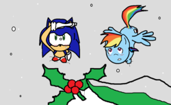 Size: 1013x619 | Tagged: safe, artist:tj0001, rainbow dash, g4, crossover, crossover shipping, female, holly, holly mistaken for mistletoe, interspecies, male, shipping, sonic the hedgehog, sonic the hedgehog (series), sonicdash, straight