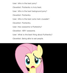 Size: 500x543 | Tagged: safe, fluttershy, g4, cleverbot, cleverbot is insane, fake, female, meme, text, wat