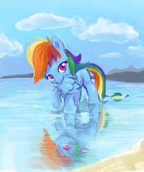 Size: 684x813 | Tagged: safe, artist:gsphere, rainbow dash, pegasus, pony, g4, beach, preening, reflection, solo, water, younger