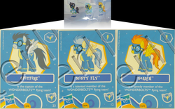 Size: 1464x920 | Tagged: safe, misty fly, soarin', spitfire, pony, g4, blind bag, blind bag card, collector card, error, irl, photo, toy, wonderbolts, you had one job