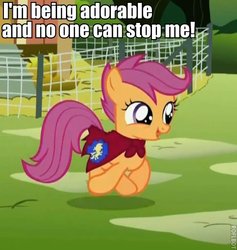 Size: 485x512 | Tagged: safe, edit, edited screencap, screencap, scootaloo, pony, g4, season 1, stare master, cape, clothes, cmc cape, cropped, cute, cutealoo, female, i'm being adorable and no one can stop me!, image macro, solo