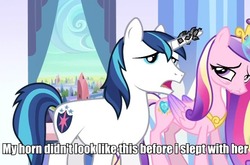 Size: 611x403 | Tagged: safe, edit, edited screencap, screencap, princess cadance, shining armor, alicorn, pony, unicorn, g4, the crystal empire, bags under eyes, crystal empire, female, herpes, horn, horn crystals, image macro, implied good clean married sex, implied sex, male, mare, sexually transmitted disease, stallion