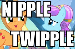 Size: 890x578 | Tagged: safe, applejack, crystal pony, pony, g4, caption, image macro, wat