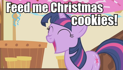 Size: 947x540 | Tagged: safe, twilight sparkle, g4, bronybait, image macro