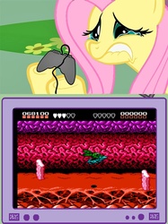 Size: 563x752 | Tagged: safe, fluttershy, pegasus, pony, g4, battletoads, cruel, exploitable meme, female, fluttercry, gamershy, mare, meme, that one level, tv meme