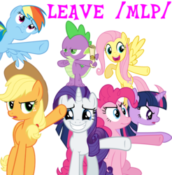 Size: 1313x1335 | Tagged: safe, applejack, fluttershy, pinkie pie, rainbow dash, rarity, spike, twilight sparkle, g4, /mlp/, image macro, mane seven, mane six