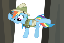 Size: 1500x1000 | Tagged: safe, artist:drumblastingquilava, daring do, rainbow dash, pony, g4, bandage, female, simple background, solo, transparent background, vector